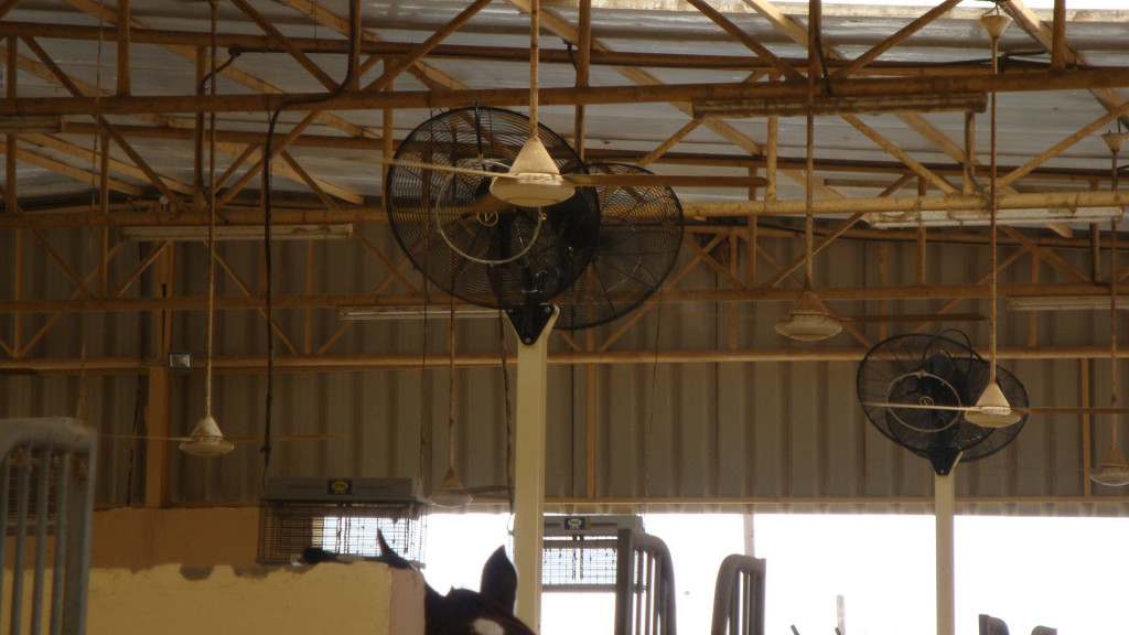 Al Hulaifi Equestrian, Animal mist cooling