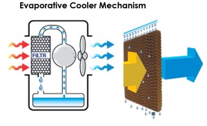 How an evaporative cooler works